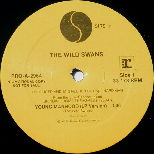 Young Manhood - secondary