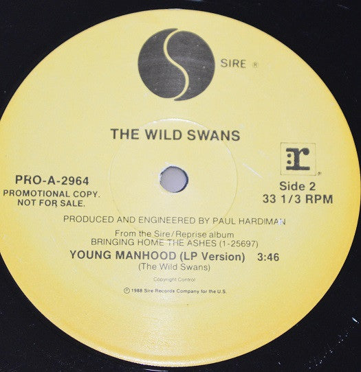 Young Manhood - secondary