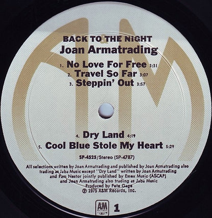 Back To The Night - secondary