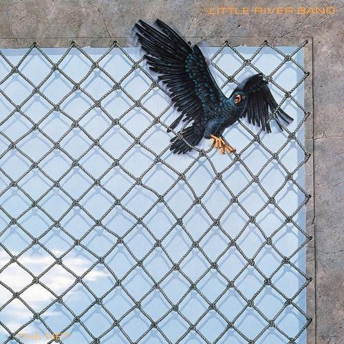 The Net - primary
