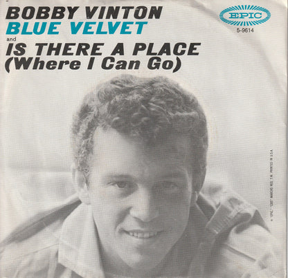 Blue Velvet / Is There A Place (Where I Can Go) - primary