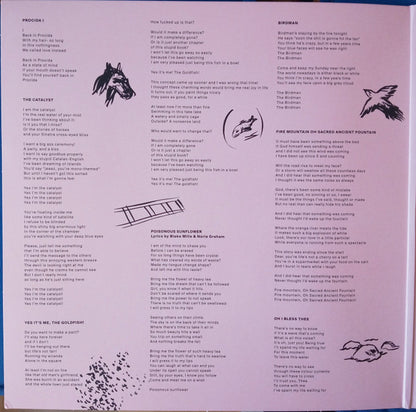 Cyclamen - secondary
