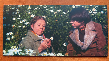 Harold And Maude: Original Motion Picture Soundtrack - secondary