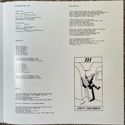 Sympathy For Life - secondary