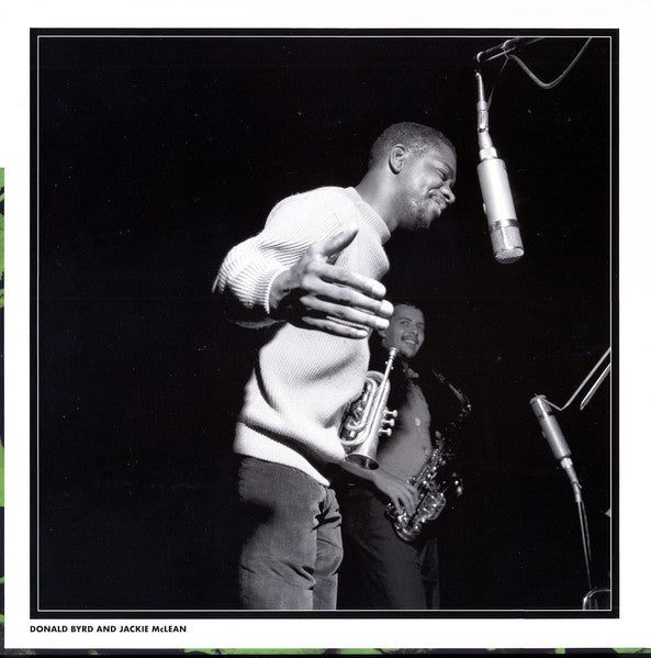 Byrd In Flight - secondary