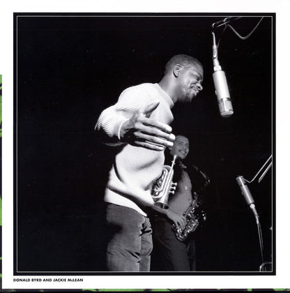 Byrd In Flight - secondary