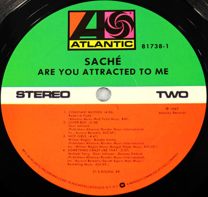 Are You Attracted To Me - secondary