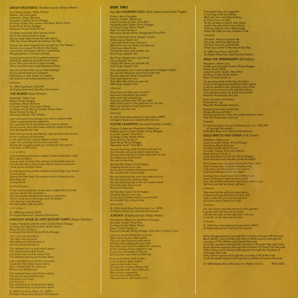 Roses In The Snow - secondary