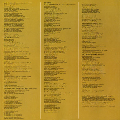 Roses In The Snow - secondary