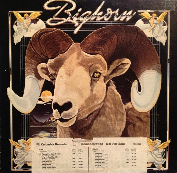 Bighorn - primary