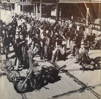 Too Wild To Tame - secondary