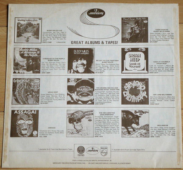 Tigers Will Survive - secondary