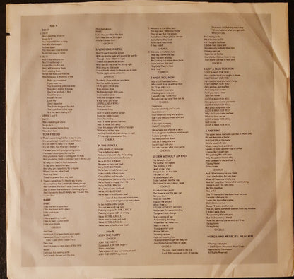 Neal Fox - A Painting