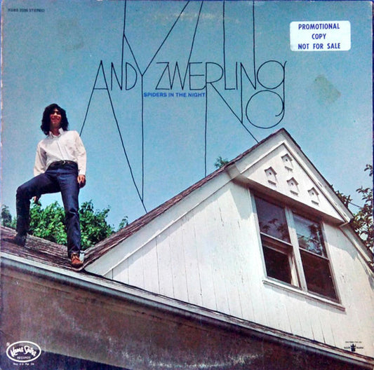 Andy Zwerling - Spiders In The Night