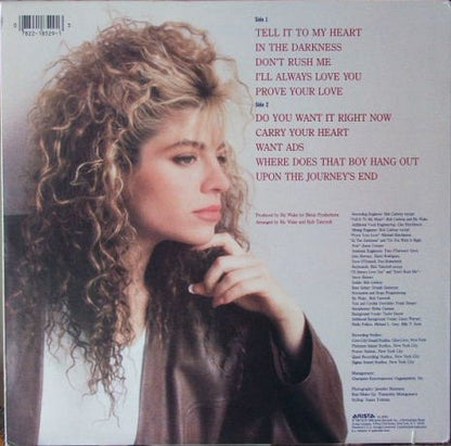 Taylor Dayne - Tell It To My Heart
