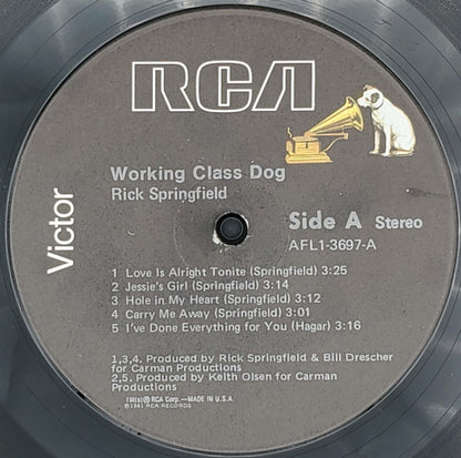 Working Class Dog - secondary