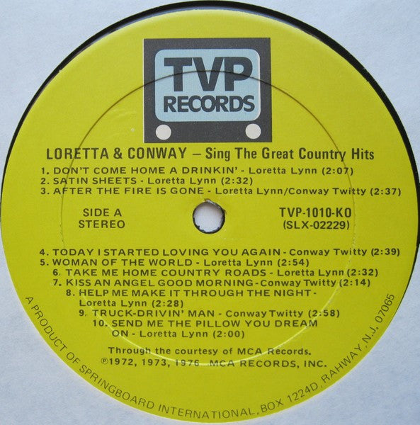 Sing The Great Country Hits - secondary