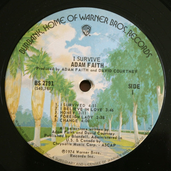 I Survive - secondary