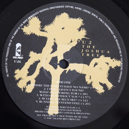The Joshua Tree - secondary