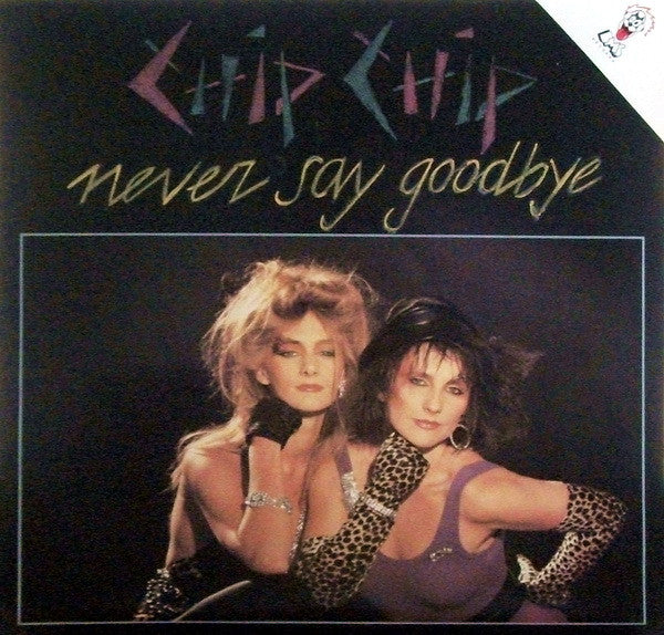 Never Say Goodbye - primary