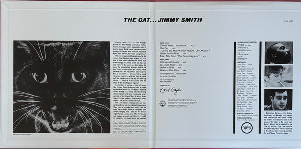 The Cat - secondary