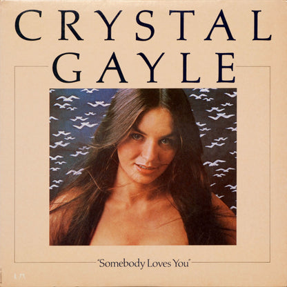 Somebody Loves You - secondary