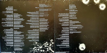 Finding Beauty In Negative Spaces - secondary