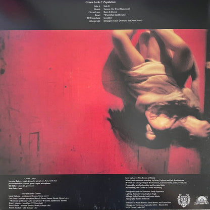 Crown Larks - Population