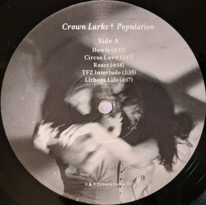 Crown Larks - Population