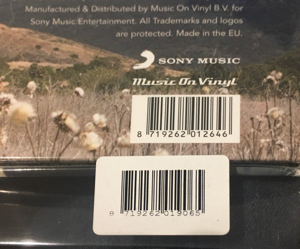 Havoc And Bright Lights - secondary