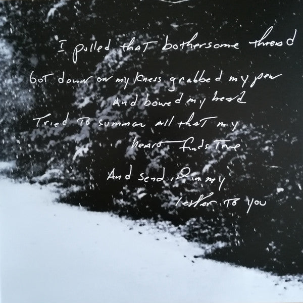 Letter To You - secondary