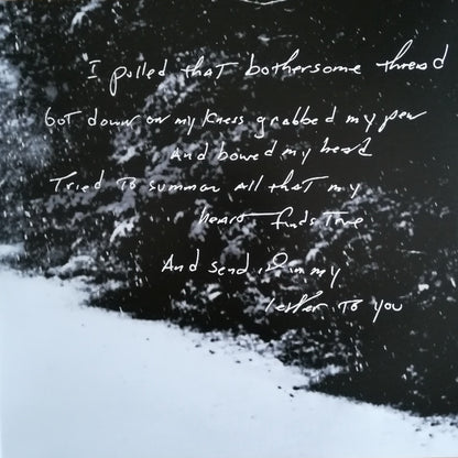 Letter To You - secondary