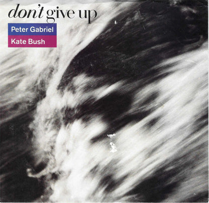 Don't Give Up - primary