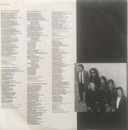 Don Henley - The End Of The Innocence