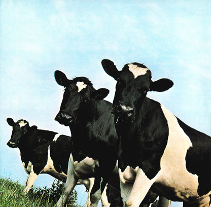 Atom Heart Mother - secondary