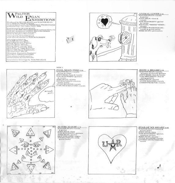 Wild Exhibitions - secondary