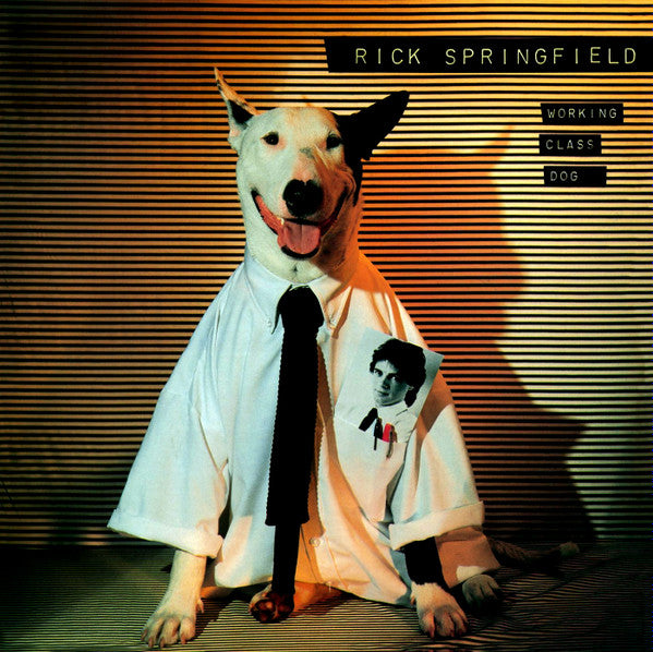 Working Class Dog - primary