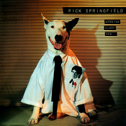 Working Class Dog - primary