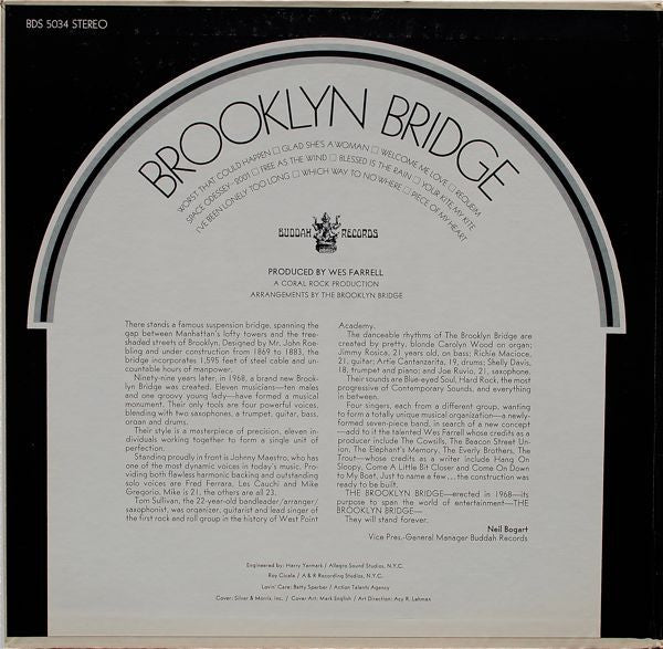 The Brooklyn Bridge - Brooklyn Bridge
