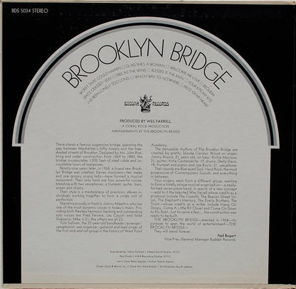 The Brooklyn Bridge - Brooklyn Bridge
