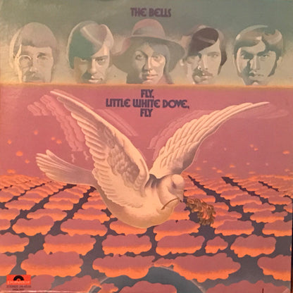 Fly, Little White Dove, Fly - primary