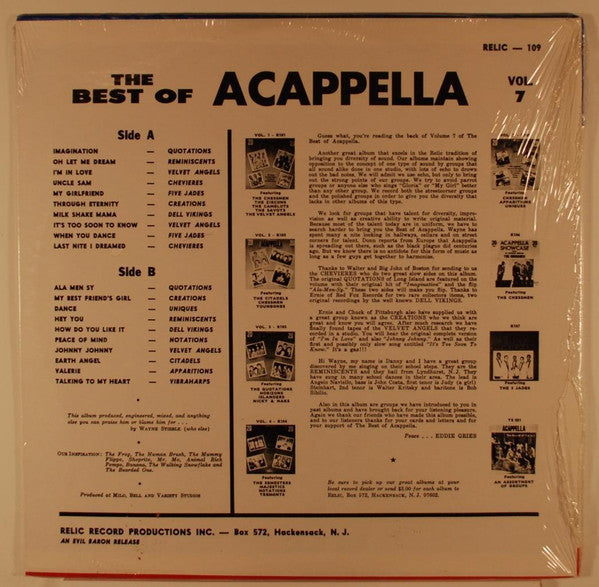 The Best Of Acappella Volume 7 - secondary