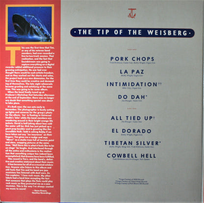 Tim Weisberg - The Tip Of The Weisberg
