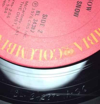 It Looks Like Snow - secondary