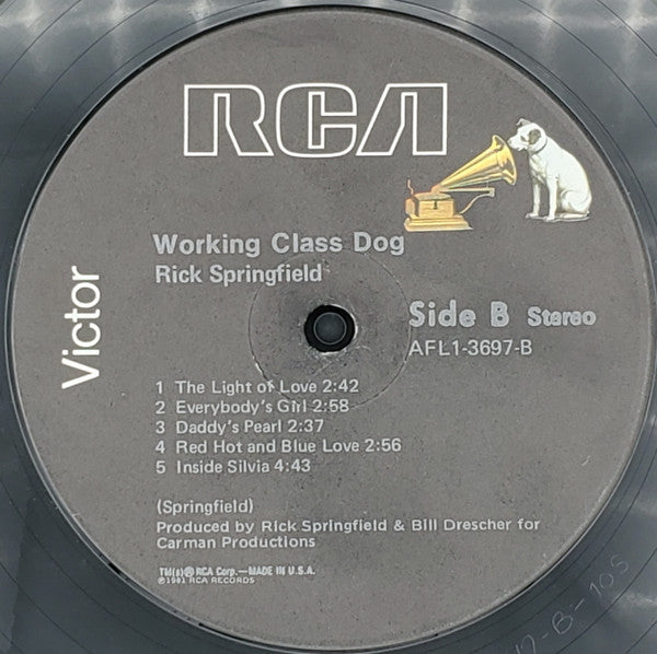 Working Class Dog - secondary