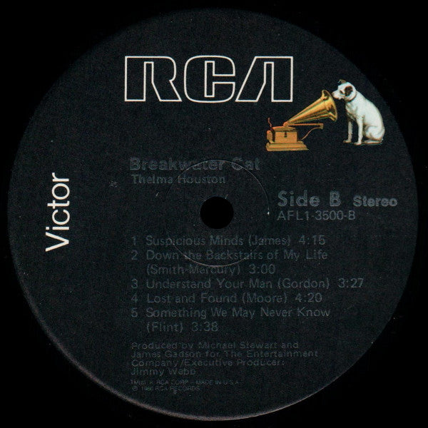 Breakwater Cat - secondary