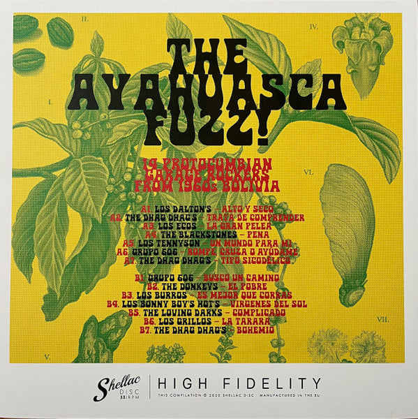 The Ayahuasca Fuzz!: 14 Protocumbian Garage Rockers From 1960s Bolivia - secondary