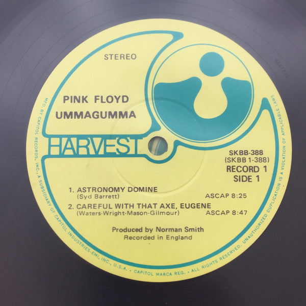 Pink Floyd - Ummagumma