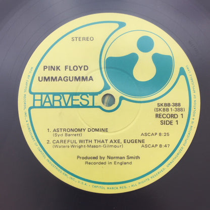 Pink Floyd - Ummagumma