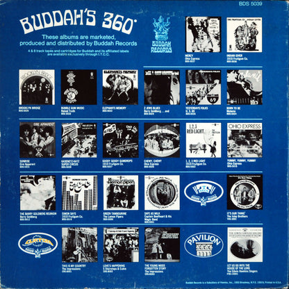 Buddah's 360 Degree Dial-A-Hit - secondary